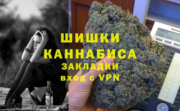 шишки Новозыбков