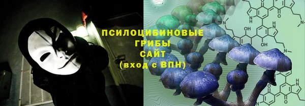 шишки Новозыбков