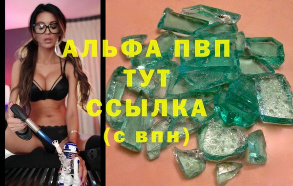 шишки Новозыбков