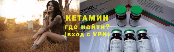 шишки Новозыбков