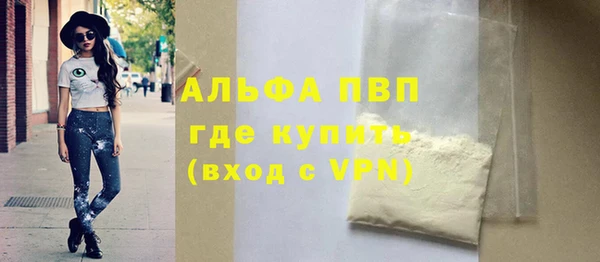 шишки Новозыбков