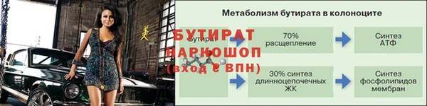шишки Новозыбков