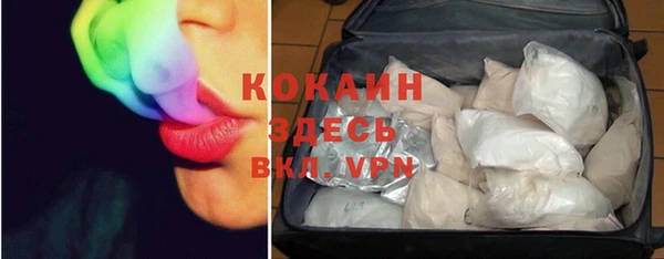 тгк Новодвинск