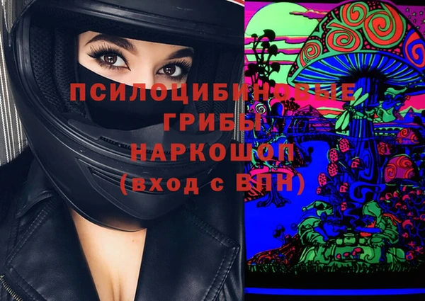 шишки Новозыбков