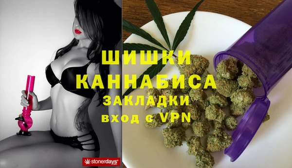 тгк Новодвинск