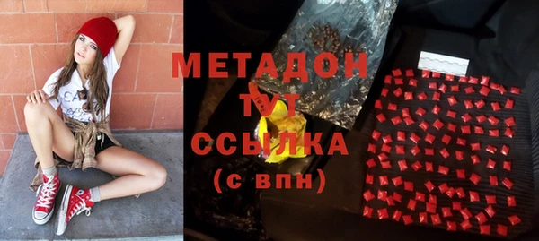 шишки Новозыбков