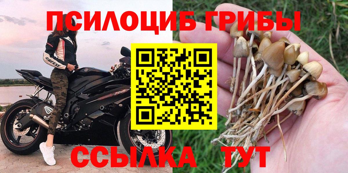 Псилоцибиновые грибы мицелий  Вход с VPN  Костомукша  Галлюциногенные грибы мицелий 